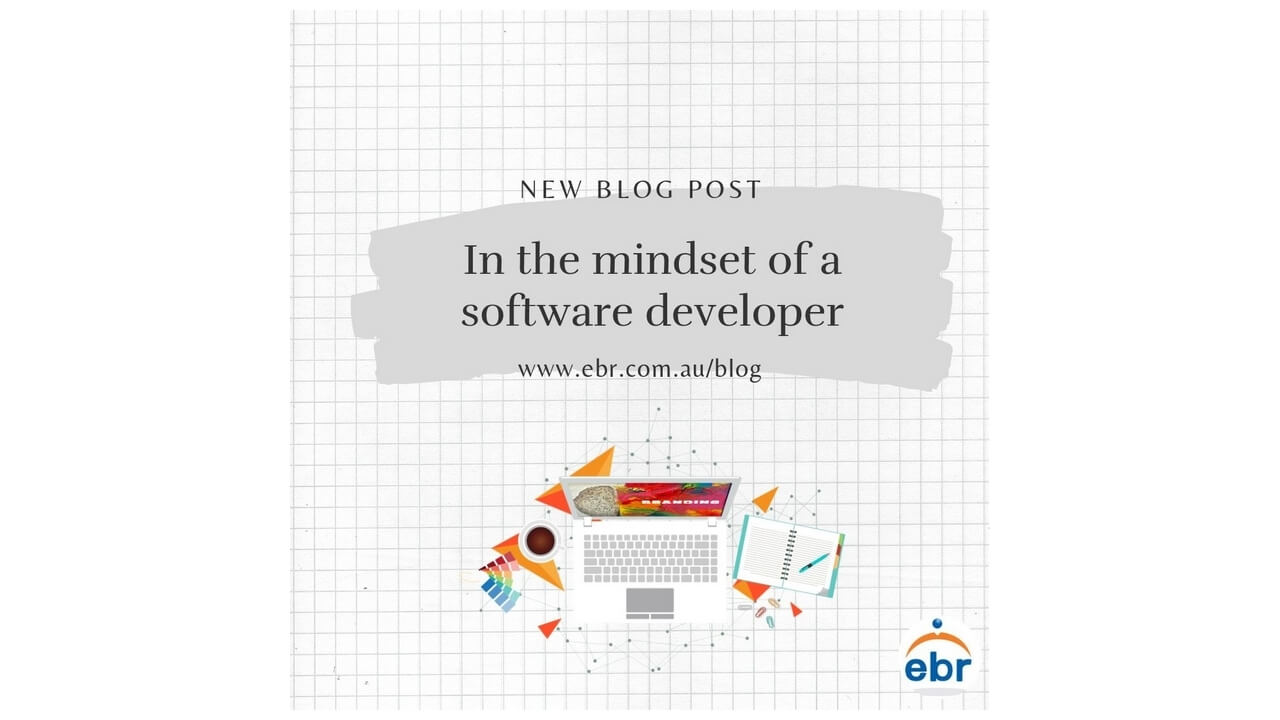 In the Mindset of a Software Developer